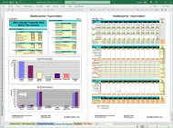 RealMoneyPlan Expert Edition